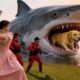 Heroic Rescue Team Saves Mother Dog from a Giant Shark in a Breathtaking Rescue | Episode 16