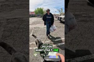 Homeless Husky Owner Gets Helped #kindness #community #rescue