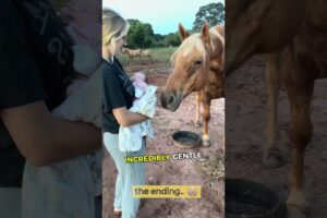 Horse's reaction after seeing THIS for 1st time! 💛🤯 #animals #horse  #dogs #babyshorts