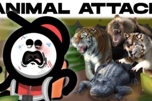 How To Win A Fight Against Every Deadly Animal