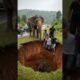 Humanity at Its Best: Saving a Helpless Baby Elephant