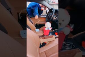 I Love #All My Pets🐶 - Cute #Puppy Fun,#petsLove,and Sweet Moments With My Little Friend #puppylove