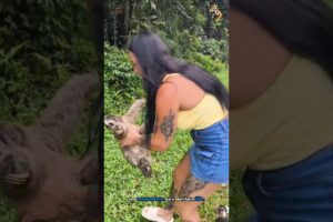 Incredible Animal Rescue Moments That Will Touch Your Heart 🐾 PART 2