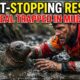 Incredible Animal Rescues – Brave Humans Saving Animals in Danger