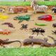 Jungle Animals' Dirty Little Insects and Lizards Adventures in the Muddy Sandbox