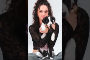 Katseye naming their puppies🐶🐾