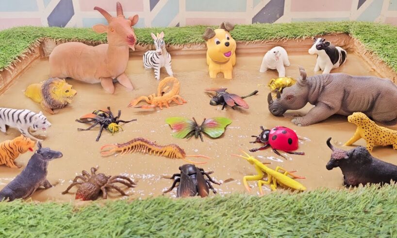 Kingdom of Mud: The Unlikely Battle of Farm, Jungle Animals & Insect Bugs for Kids