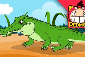Komodo Dragon vs Crocodile | Animal Battle | 4K cartoon | REDMON