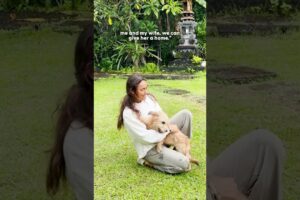 Locked Away for Not Being “Cute” — This Dog Is Glowing And Pampered Now | The Dodo