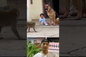 Moments when animals rescued humans 🐾💖 #shorts #song