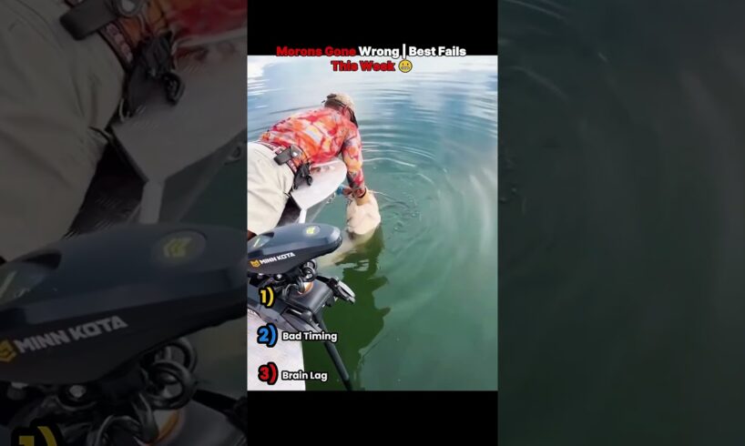 Morons Gone Wrong | Best Fails of the Week 😬🔥