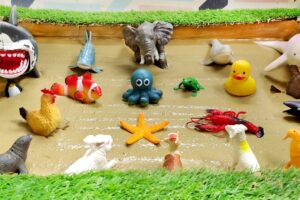 Muddy Ocean Animals and Farm Animals Epic Adventure for Kids | Interactive Learning