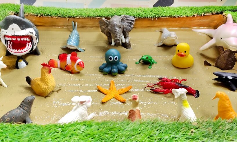 Muddy Ocean Animals and Farm Animals Epic Adventure for Kids | Interactive Learning