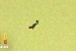 NASA ROVER SPOTS ALIENS | The Proof Is Out There | #Shorts | History