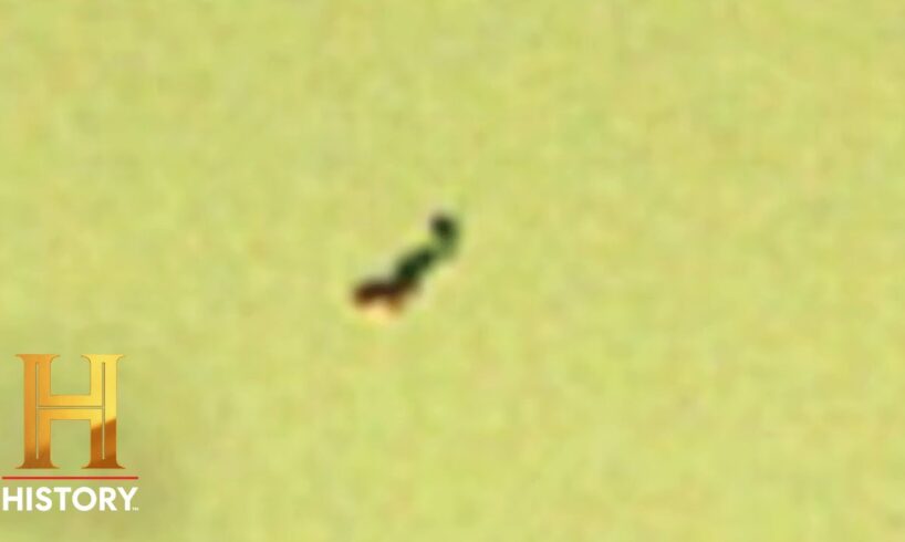 NASA ROVER SPOTS ALIENS | The Proof Is Out There | #Shorts | History