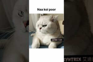 Na koi rich🤑 Na koi poor🤮 #shorts #funny #trending #ytshorts #newyoutuber #youtuberslife