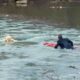 New Yorker in Suit Plunges Into Pond to Rescue Dog