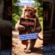 One Hand Missing, But Not Hope: A Baby Monkey’s Emotional Fight for Life#monkey #animals#shortsfeed