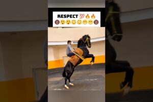 People are Awesome 🇺🇸🇺🇸 #aura #respect #respectreaction #imaginedragons #rare #reaction