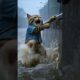 Poor puppy drowning... rescued by cat #cat #cats #puppy #rescue #animation #humanity