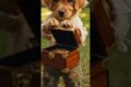 “Puppy Finds Coins! 🐶💰”
