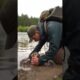 Puppy Stuck in Mud Cries for Help #rescue #animals #heartwarming