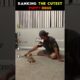 Ranking The Cutest Puppy Moments 😂🐕