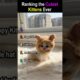 Ranking the Cutest Kittens #shorts