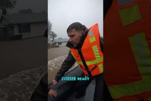 Red Panda Was Stuck On a door During a Flood...But These People on a Boat Came to Save It!