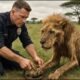 Rescue Animal: He Freed a Lion from a Deadly Trap — But What the Lion Did Next Shocked Everyone #70