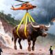 Rescue Team Saves Buffalo From Deadly Landslide Thanks to Smart Dog’s Warning 🐕‍🦺