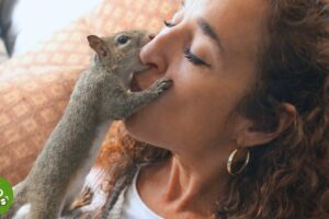Rescued Squirrel Returns Every Day for Years to the Woman Who Saved Him