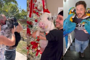 Reunion and warmth#lovestory #animals #wildliferescue #wildlife #cute #rescue #love #funny #reunion