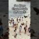 Sea Lions Terrorize People on Beach #Funny #SeaLions #Sea