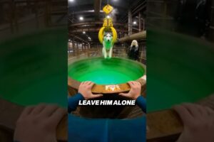She Dropped My Husky Into a Chemical Vat… So I Dove In.