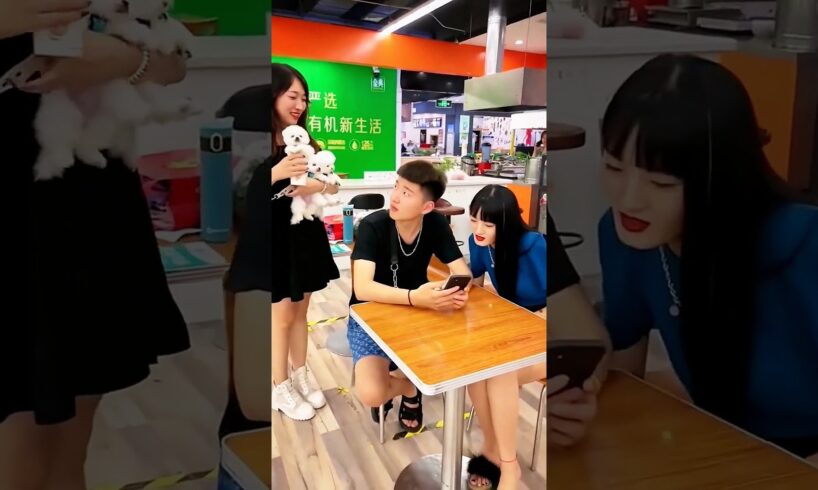 Surprising them with Cute Puppies 😍