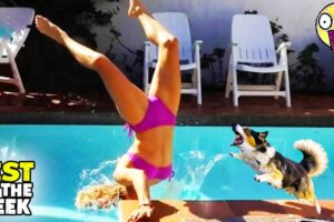 TRY NOT TO LAUGH #23 | 😂  Best Fails of The Week | Instant Regret Fails Compilation 2026