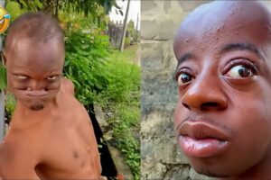 TRY NOT TO LAUGH 😆 Funniest Fails of the Week 🤣 Funny Moments Compilation | Episode 14… omg 😱 😆