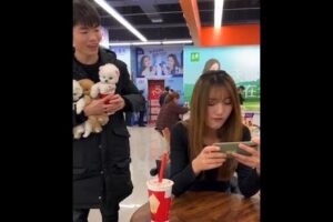 Teacup Dog Breeds / Teacup Puppies 🐕 #Shorts #Dog #Cute #Teacup #Puppy