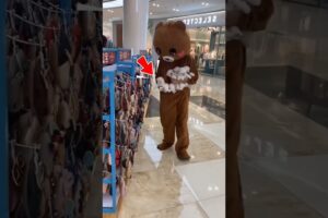 Teddy's Cute Puppies 😍🩵