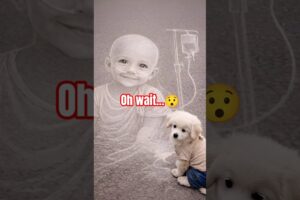 The Baby Puppy’s New Adventure Begins 🐾 | Cutest Puppy Ever #shorts#puppy