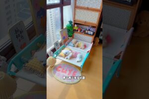 The Cutest Puppy Haircut🤭🐶 You’ll See Today 2🎀#puppy#dogsoftiktok#grooming#viral#usa#shorts#trending