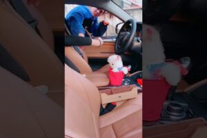 The Cutest Puppy 🤭🐕You'll See Today🤣#dogs#poodle #cutedog #pets #doglover