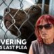 The Heartbreaking Reason Roxy Turned On Her Pups | Pit Bulls & Parolees S3 E1 | Animal Planet India