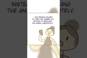 The Problem with Animal Rescue Videos