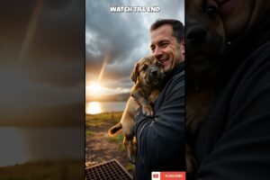 The Puppy Trapped in the Drain… #shorts #puppy