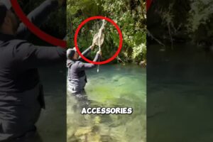 The owl was hanging helplessly until he saved it #owl #rescue