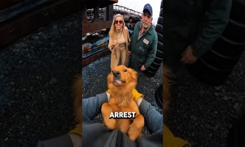 This Man Saved A Dog From A Giant Car Crusher And Then... 🚗🏗️