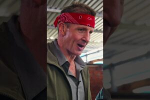 This Snake Farm is Wild…