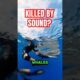 This Whale Could Kill You With Sound 😳